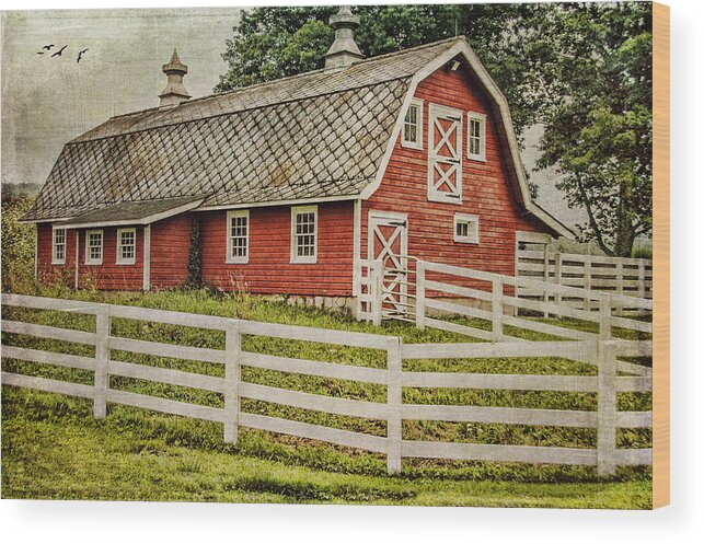 Farm Wood Print featuring the photograph Red Barn by Cathy Kovarik