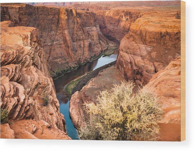 America Wood Print featuring the photograph River Through Horseshoe Bend #1 by Gregory Ballos