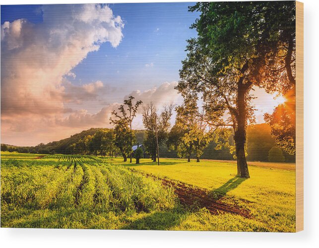 Kentucky Wood Print featuring the photograph Rural scene #1 by Alexey Stiop
