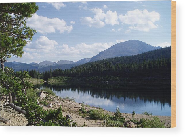 Water Wood Print featuring the photograph Sandbeach lake #1 by Thomas Samida