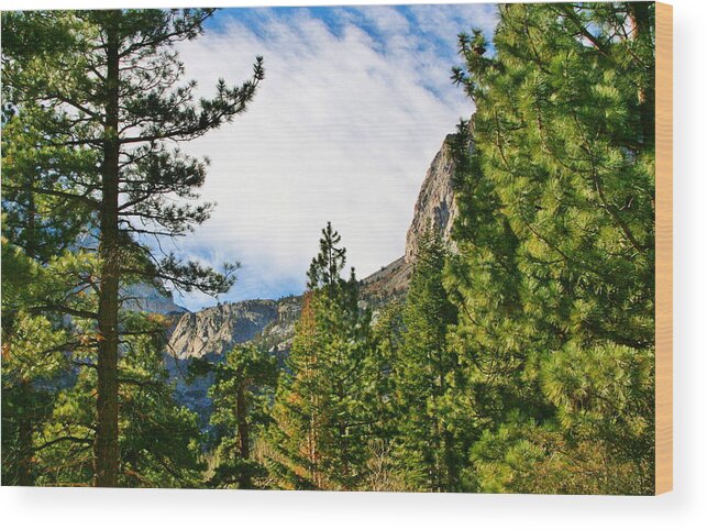 Sky Wood Print featuring the photograph Sierra November #2 by Marilyn Diaz