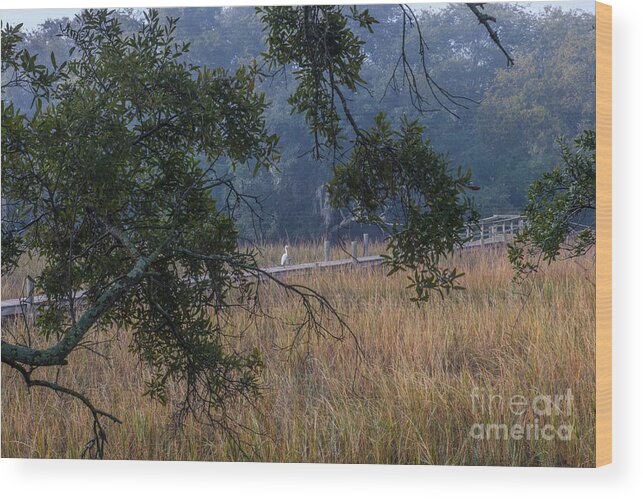 Fog Wood Print featuring the photograph Southern Fog #1 by Dale Powell