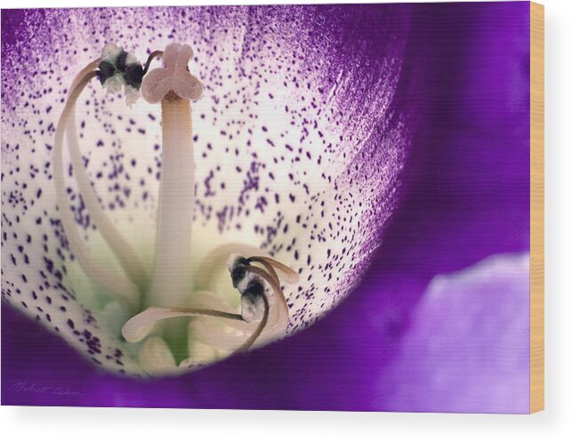 Flowers Wood Print featuring the photograph Stamen and Pestle  #1 by Robert Culver