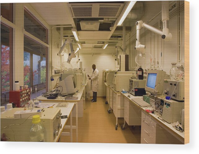 Body Burden Wood Print featuring the photograph Stockholm University Pdbe Lab #1 by Peter Essick