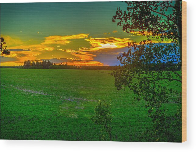Sunset Wood Print featuring the photograph Sunset #1 by Thomas Nay