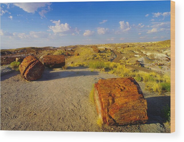 Rocks Wood Print featuring the photograph The Painted Desert #2 by Jeff Swan