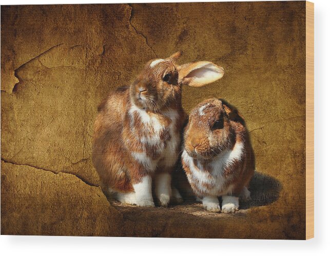 Rabbit Wood Print featuring the photograph The rabbit #1 by Heike Hultsch