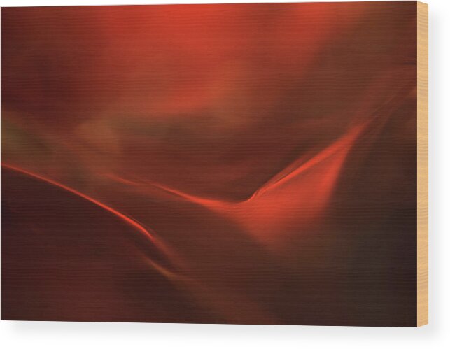 Macro Wood Print featuring the photograph The Red Valley #1 by Heidi Westum