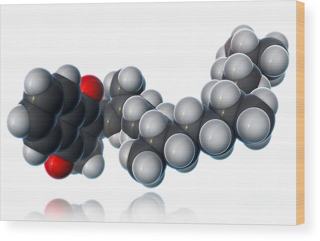 3d Model Wood Print featuring the photograph Vitamin K1, Molecular Model #1 by Evan Oto