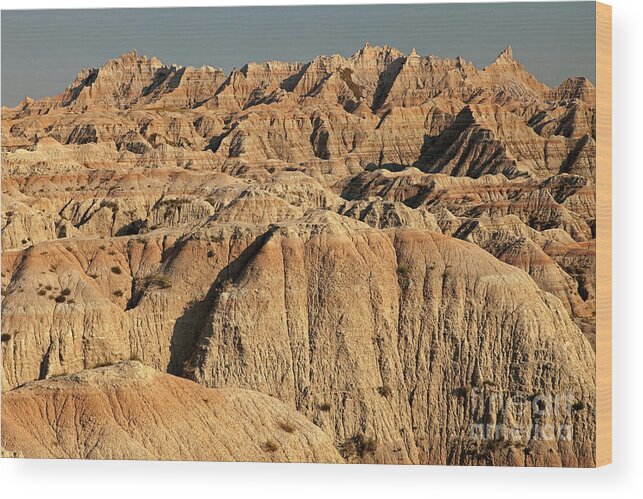 Afternoon Wood Print featuring the photograph White River Valley Overlook Badlands National Park #1 by Fred Stearns