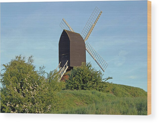 Windmill Wood Print featuring the photograph Windmill on Brill Common #1 by Tony Murtagh
