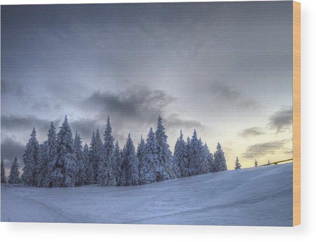Adventure Wood Print featuring the photograph Winter #1 by Ivan Slosar
