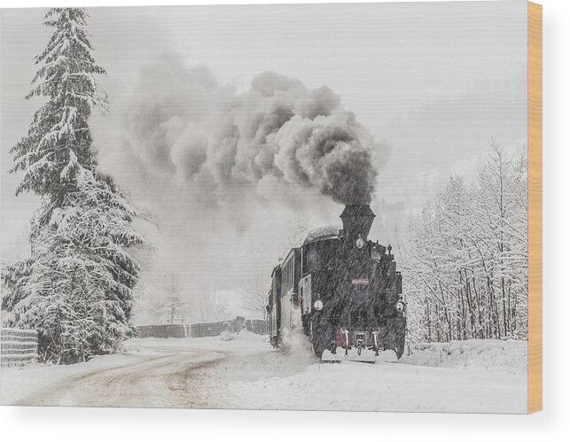Train Wood Print featuring the photograph Winter Story #1 by Sveduneac Dorin Lucian