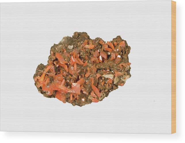 Color Image Wood Print featuring the photograph Wulfenite #1 by Science Stock Photography/science Photo Library