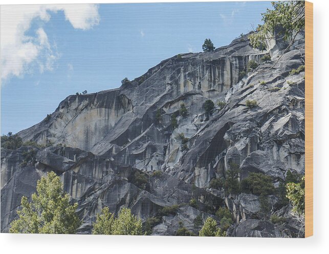 Yosemite Wood Print featuring the photograph Yosemite by Weir Here And There