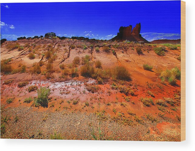 Landscape Wood Print featuring the photograph Monument Valley Utah USA #16 by Richard Wiggins