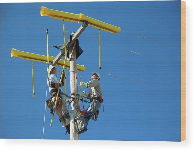 Human Wood Print featuring the photograph Repairing Power Lines #10 by Jim West