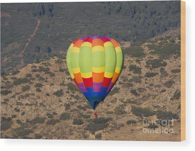 Hot Air Balloons Wood Print featuring the photograph Rocky Mountain Balloon Festival #10 by Steven Krull