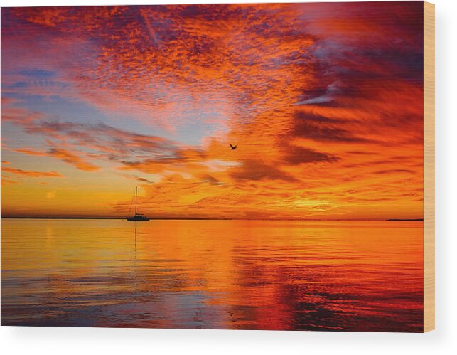Florida Wood Print featuring the photograph Florida Keys by Raul Rodriguez