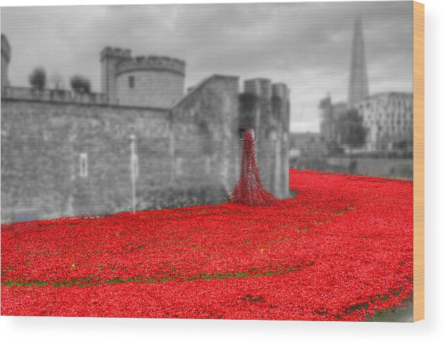 Tower Of London Poppies Wood Print featuring the photograph Tower of London Poppies #12 by Chris Day