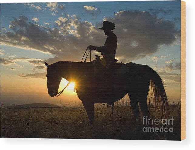 Cowboy Wood Print featuring the photograph Cowboy #12 by John Shaw