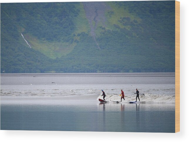 Tidal Bore Wood Print featuring the photograph Feature - Bore Tide Surfing In Alaska #12 by Streeter Lecka