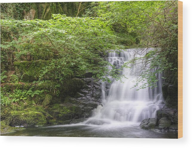 Waterfall Wood Print featuring the photograph Stunning waterfall flowing over rocks through lush green forest #13 by Matthew Gibson