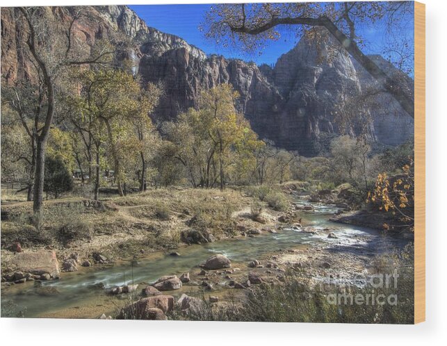 Zion Wood Print featuring the photograph Zion #13 by Marc Bittan