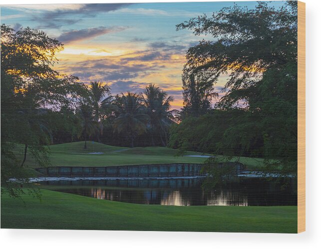 15th Hole Wood Print featuring the photograph 15th Green at Hollybrook by Ed Gleichman