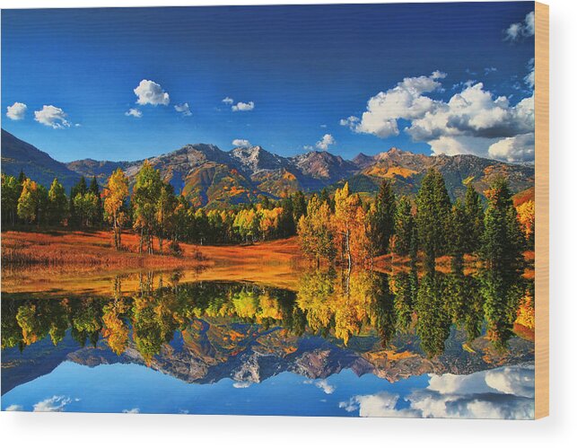 Landscape Wood Print featuring the photograph Fall Colors by Mark Smith