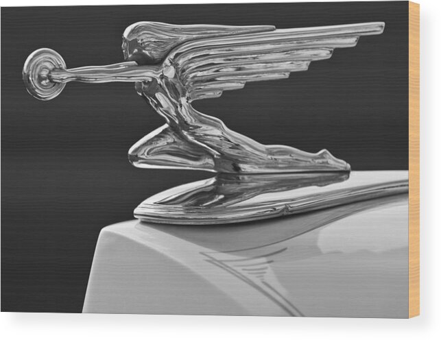 1936 Packard Wood Print featuring the photograph 1936 Packard Hood Ornament 3 by Jill Reger