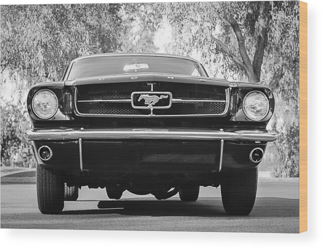 1965 Shelby Prototype Ford Mustang Wood Print featuring the photograph 1965 Shelby Prototype Ford Mustang #3 by Jill Reger