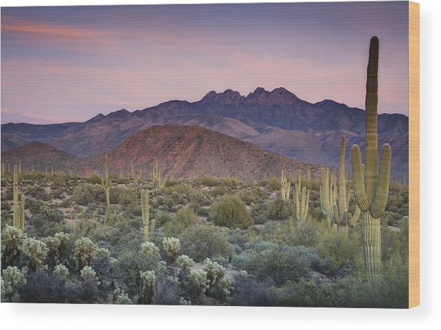Sunset Wood Print featuring the photograph A Desert Sunset #3 by Saija Lehtonen