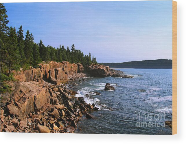 Landscape Wood Print featuring the photograph Acadia Coast by Jemmy Archer