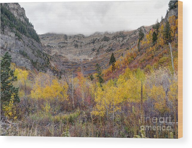 Wasatch Mountains Wood Print featuring the photograph Fall at Mt. Timpanogos - Utah #2 by Gary Whitton