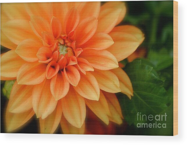 Orange Flower Wood Print featuring the photograph Flower #2 by Deena Withycombe