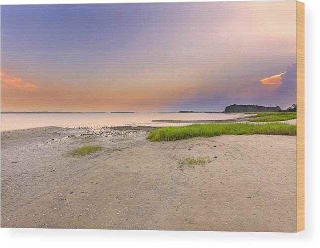 Abstract Wood Print featuring the photograph Hilton Head Island by Peter Lakomy