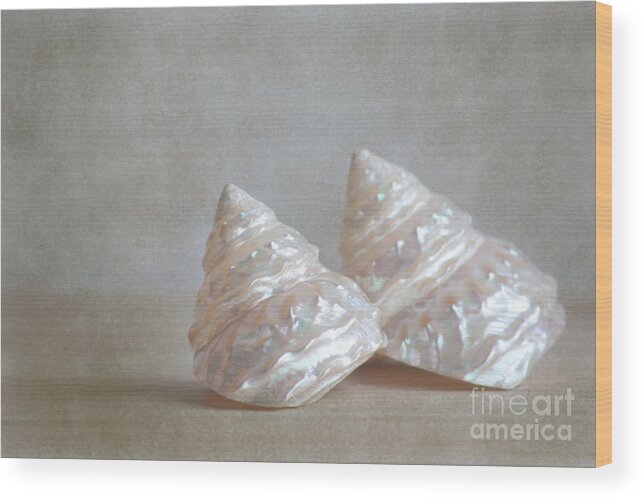 Shell Wood Print featuring the photograph Iridescent shells #2 by Aiolos Greek Collections