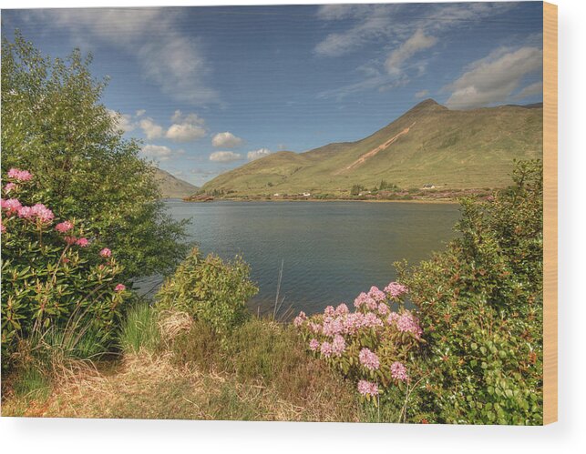 Beautiful Ireland Wood Print featuring the photograph Killary Harbor View #2 by John Quinn