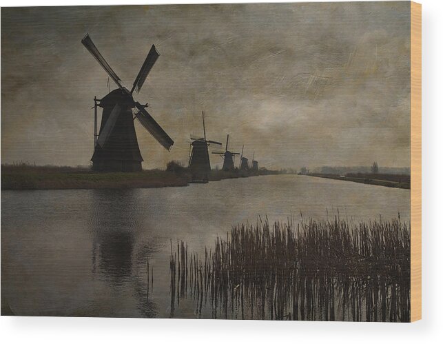 Agriculture Wood Print featuring the photograph Kinderdijk #2 by Maria Heyens