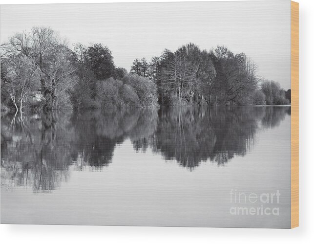 Lake Reflections Wood Print featuring the photograph Lake Reflections #2 by Darren Burroughs