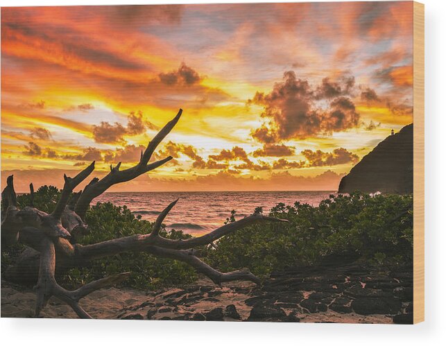 Aqua Wood Print featuring the photograph Makapuu Sunrise 4 #2 by Leigh Anne Meeks