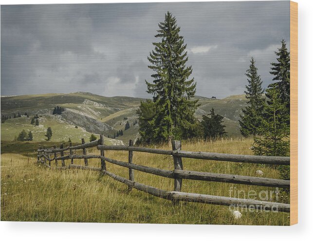 Fence Wood Print featuring the photograph Mountain Landscape by Jelena Jovanovic
