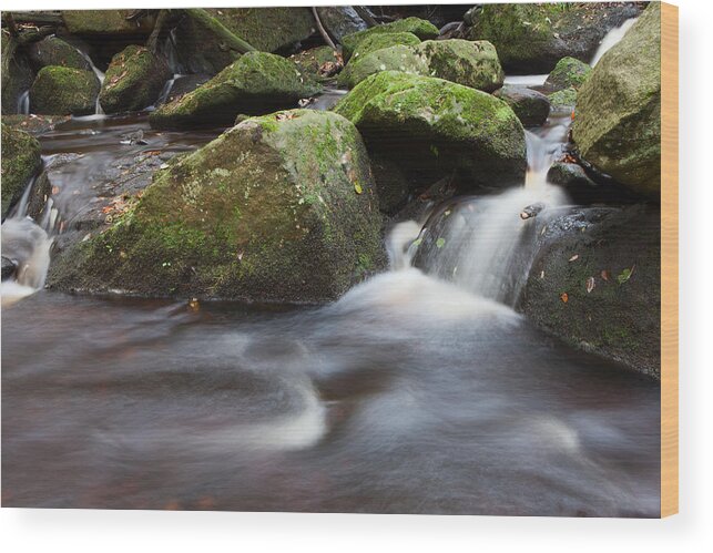 Padley Gorge Wood Print featuring the photograph Padley Gorge #2 by Nick Atkin