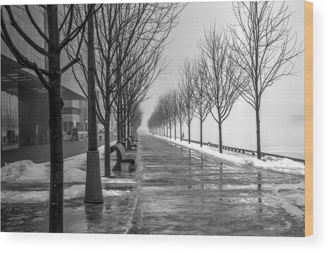 Landscape Wood Print featuring the photograph Path Through Fog by Nicky Jameson