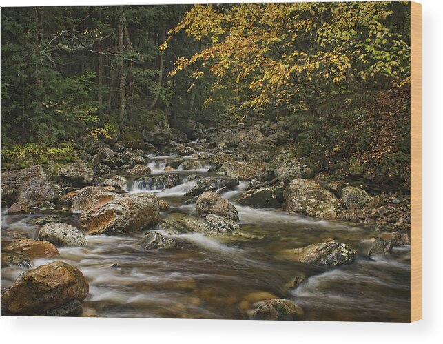 Roaring Branch Brook Wood Print featuring the photograph Roaring Branch Brook #1 by Priscilla Burgers