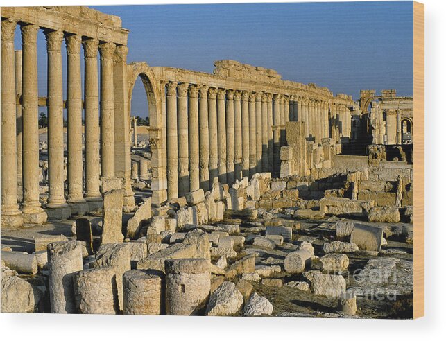 Syria Wood Print featuring the photograph Ruins At Palmyra, Syria #2 by Adam Sylvester