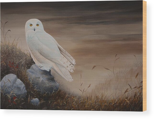 Bird Wood Print featuring the painting Snowy Owl by Charles Owens