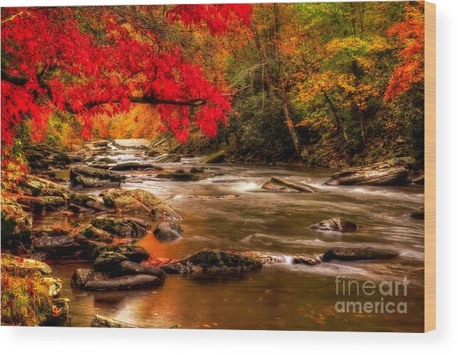 Ncrivers Wood Print featuring the photograph Soothing Red Creek #2 by Deborah Scannell