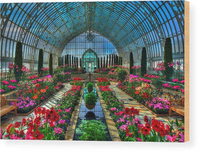 Sunken Garden Wood Print featuring the photograph Sunken Garden Como Conservatory #3 by Amanda Stadther